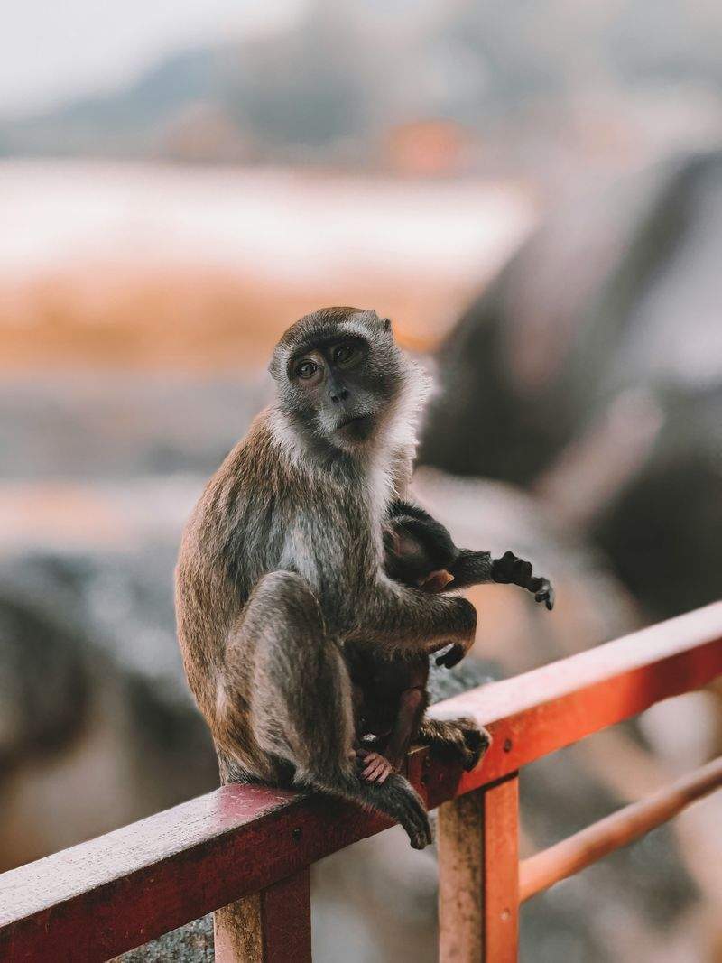 효과적인 양육 팁: 대화의 힘